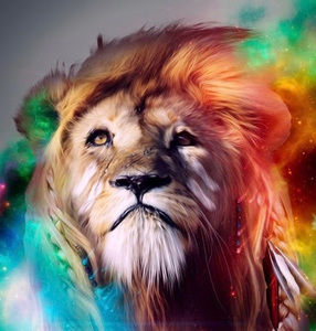 Meet your Posher, Connor